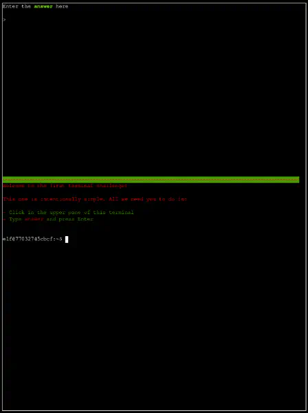 Cranberry Pi Terminal
